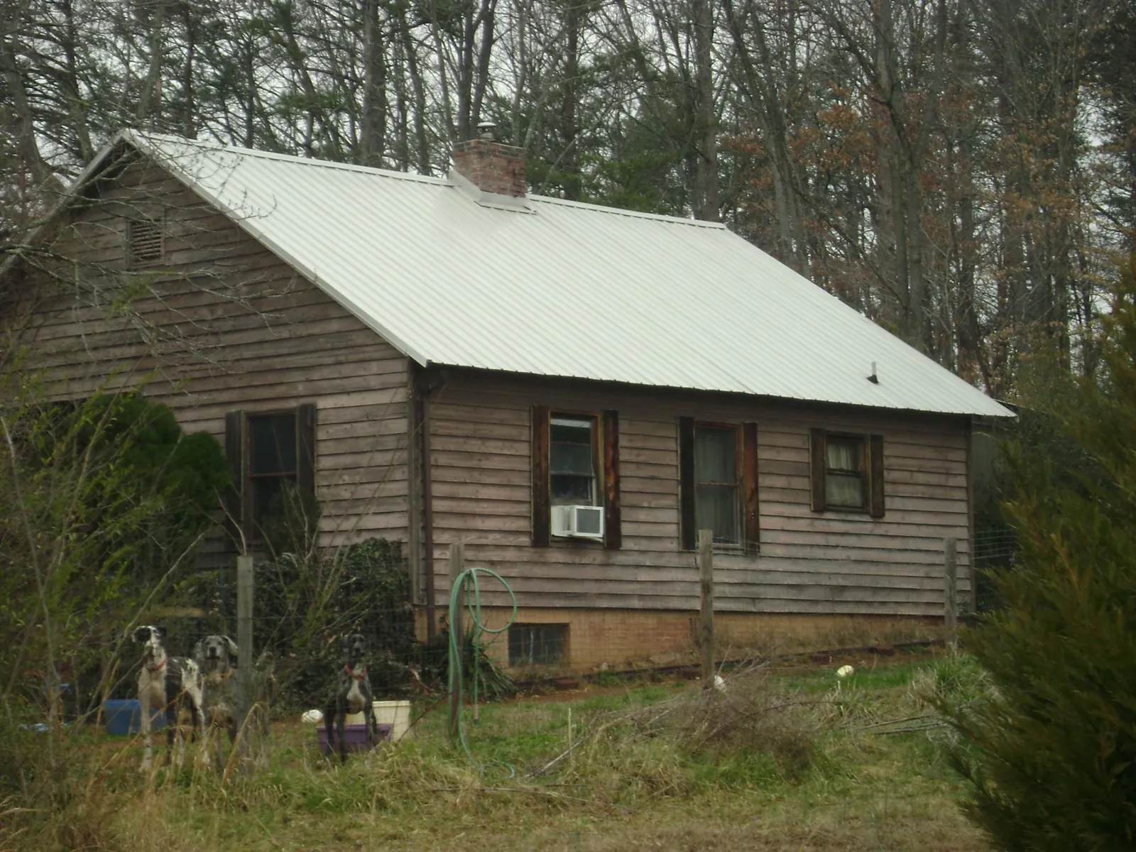 White metal roof on an old wood sided farmhouse, from a Asphalt Shingle Roof Repair job in Connelly Springs